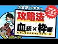 【小倉芝1200m】ガチで見逃せない”ロードカナロア産駒”の買いどき！！2ケタ人気が激走する絶対知っておくべき買いパターンとは