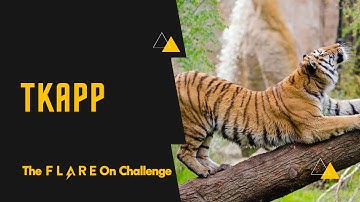 Flare-on 2020 - Level 5 - TKApp solution