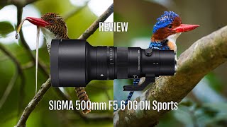 Sigma 500mm F5.6 DG DN OS Sport...มีดโกนที่ใช้ถ่ายรูปได้