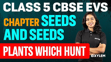 Class 5 CBSE Evs | Chapter : Seeds and Seeds - Plants which hunt | Xylem Class 5 CBSE