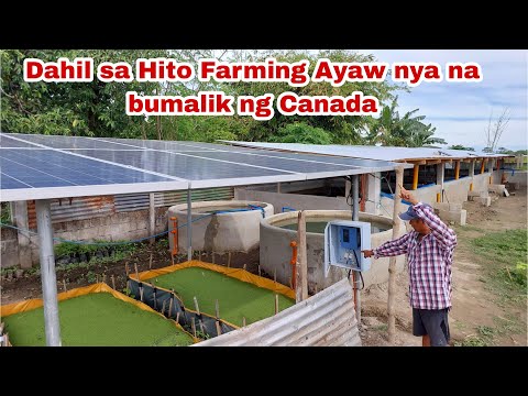 Dating OFW Nagsimula ng mag Forgood dahil sa Hito Farming