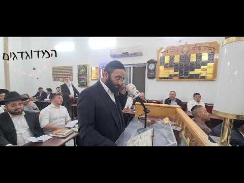 אלחנן משמרתי סליחות קדיש נדרתי נדר לאלוקיי 