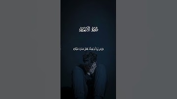 سورة الأنعام الشيخ خالد الجليل #محمودسعد #راحة_نفسية #المصحف #اكسبلور #تيك_توك #محمود #دويتو #ترند