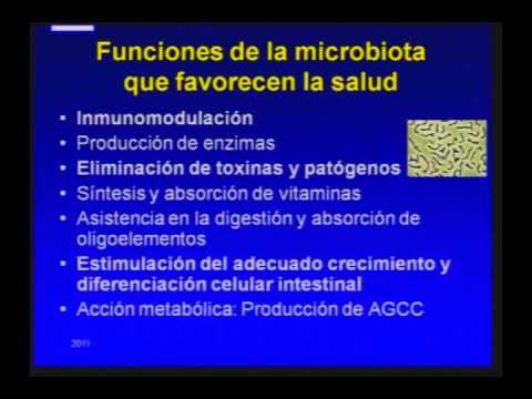 Vídeo: Antibióticos Para La Diarrea: ¿cómo Elegir? Lista, Indicaciones Y Contraindicaciones