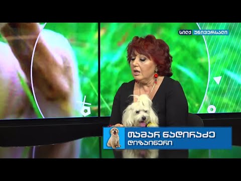 Meore - კონსულტაცია ვეტერინართან