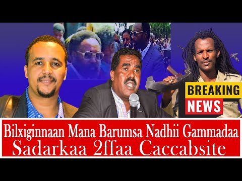 AGM Godina Arsii Aanaa Zuwaay Dugdaatti Bilxiginnaan Mana Barumsa Nadhii Gammadaa Caccabsite
