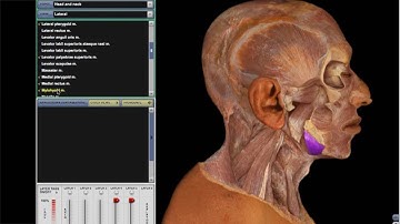 How To: McGraw Hill Connect for Anatomy and Physiology