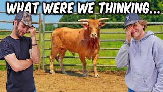 We Got A NEW Really ANGRY Bucking Bull!