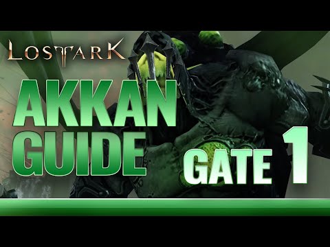 AKKAN Legion Raid GATE 1 Detailed Guide