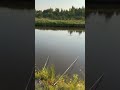 Шикарный закат 🥰 #закат