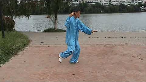 TaiChi 83-style part2