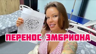 ЭКО.ПОДСАДКА ЭМБРИОНА.РЕПОРТАЖ ИЗ ОПЕРАЦИОННОЙ🤭 #олесямалибу #эко