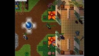 tibia ot
