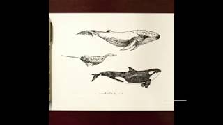 Inktober Day 12: WHALE