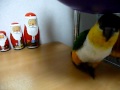 木製クリスマスツリー