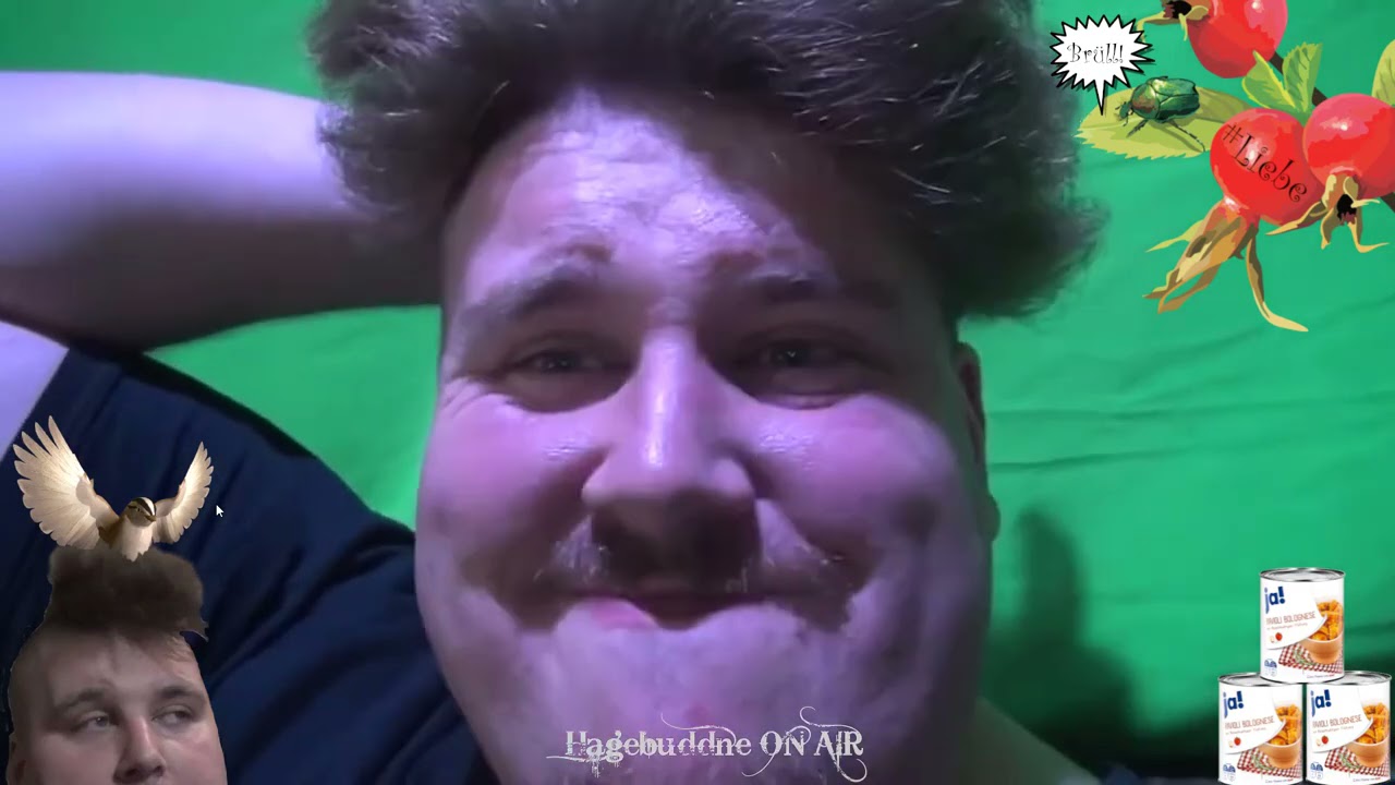 Reaktion - Homeofficebettler im Wuselmodus