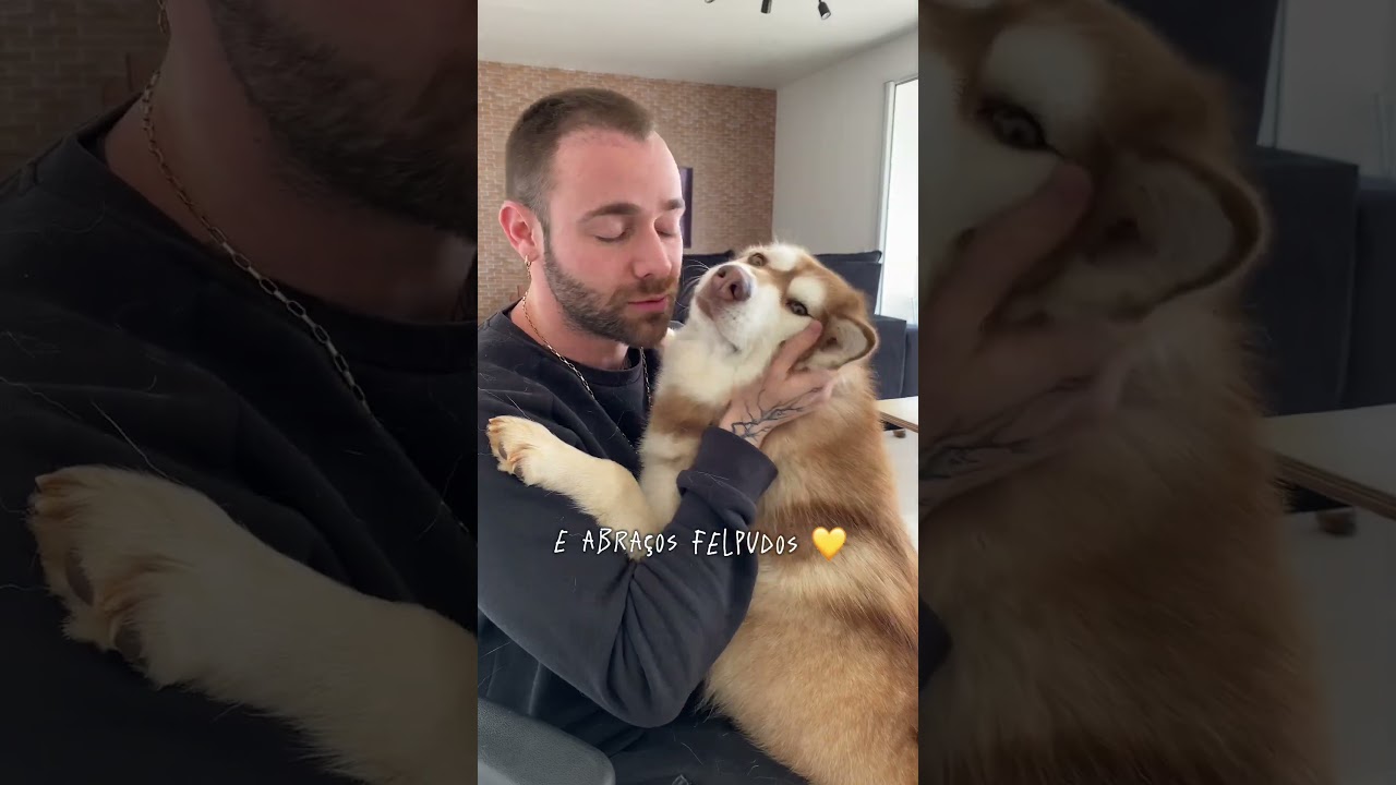 SER PAI DE PET É ASSIM: