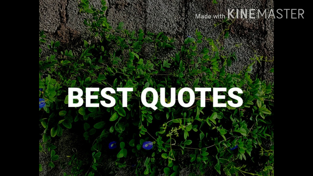 BEST QUOTES... YouTube