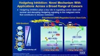 Best Practices for CML Therapy: A Workshop Symposium for the Advanced Practice Oncology Nurse
