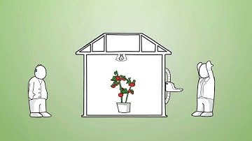 Funk-e Uitleganimatie - Animated Explanation Video: Priva Integro 730 Update (NL)