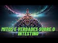 CUIDADO ESSAS 5 COISAS SOBRE SEU INTESTINO PODEM ESTAR MENTINDO PARA VOCÊ CUIDADO ESSAS 5 COISAS SOBRE SEU INTESTINO PODEM ESTAR MENTINDO PARA VOCÊ