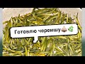 Готовлю черемшу/Генеральная уборка в кухне  1 часть