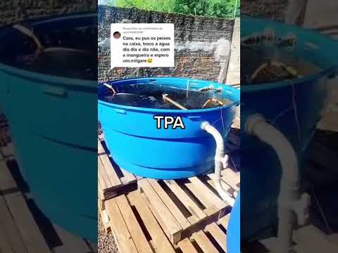 Dicas top para