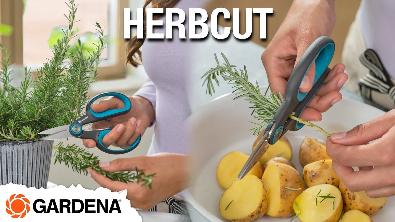 GARDENA HerbCut - Herb Scissors with Defoliating Function - YouTube