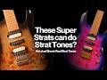 SQOE SEIB 450 vs SEIB 550 vs Strydom SS40 | Super Strat Comparison