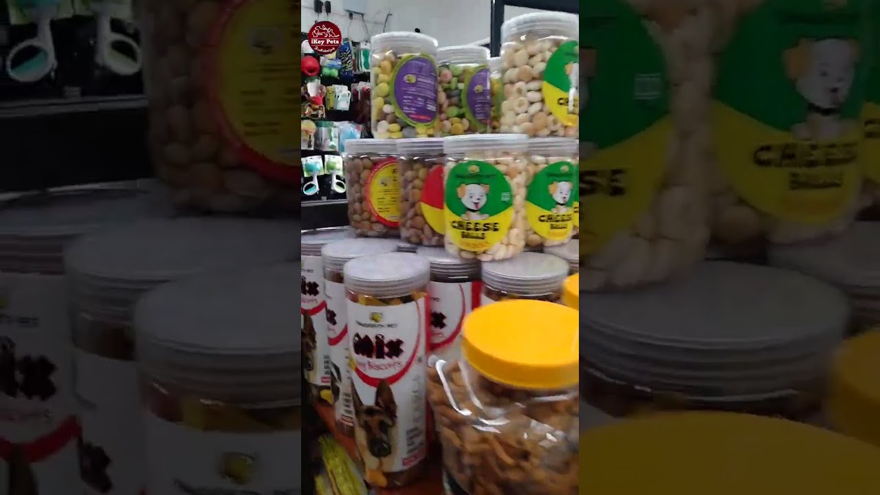 Pet Shop Vlog 