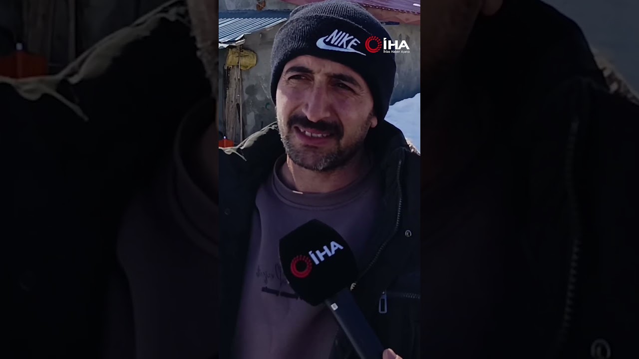 Kars’ta kurt sürüsünü kürekle kovalayan vatandaş kamerada