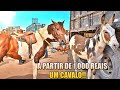 CAVALO A PARTIR DE 1 000 REAIS EM CARUARU PE!! FEIRA DE CAVALO PARTE 2!! 05/04/2022