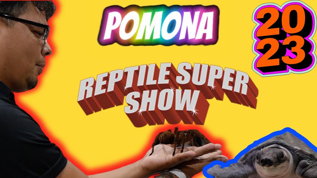 Trip to the reptile SUPER show Pomona 2023 YouTube