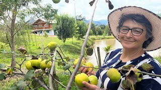 MULHER DA ROÇA - ELA VIVE EM UM PEDACINHO DO CÉU