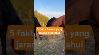 5 fakta hewan yang jarang diketahui #bintanglaut #kelelawar #kuda #bunglon #lumbalumba #faktaunik