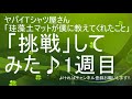 ヤバイTシャツ屋さん「珪藻土マットが僕に教えてくれたこと」に挑戦♪1週目