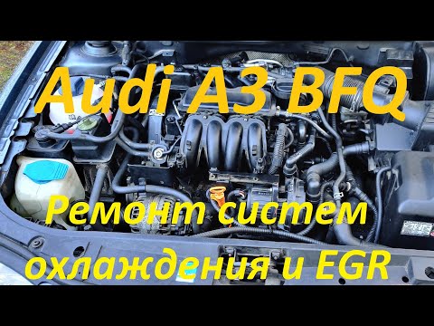 Ремонт систем охлаждения и EGR в Ауди A3 1.6 BFQ