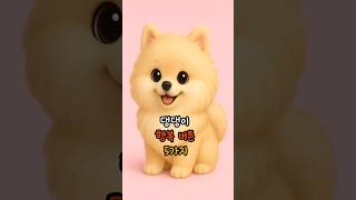 댕댕이의 행복 버튼 5가지 #강아지행복버튼 #댕댕이와교감하기 #반려견일상 #강아지훈육팁 #행복한강아지 #강아지소통 #건강하개냥
