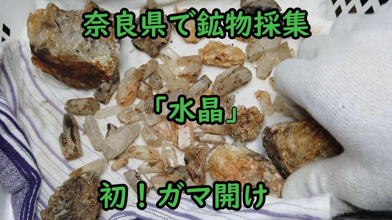 鉱物採集「ガマ出し水晶（初ガマ開けです）」 - YouTube