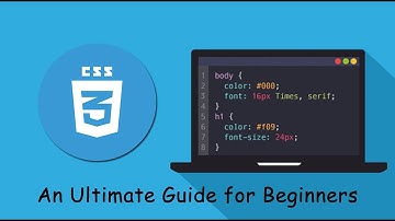 CSS Tutorial For Beginners - Zero to Hero (Complete Course) 7/60 How to Test a Stylesheet