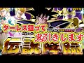 【ドカバト】LRターレスを狙ってぶん回す！！結果はいかに！？【DokkanBattle】