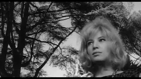 Leonard Cohen Suzanne + Antonioni + Alain Delon + ...