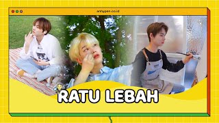 [AN-MUSIC] 'Ratu Lebah' Official Music Video