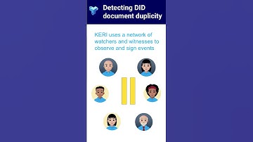 Detecting DID Document Duplicity