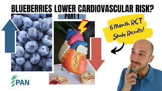 Blueberries - Long-Term Health Benefits - Part I screenshot 5