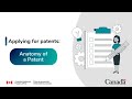 Anatomy of a Patent