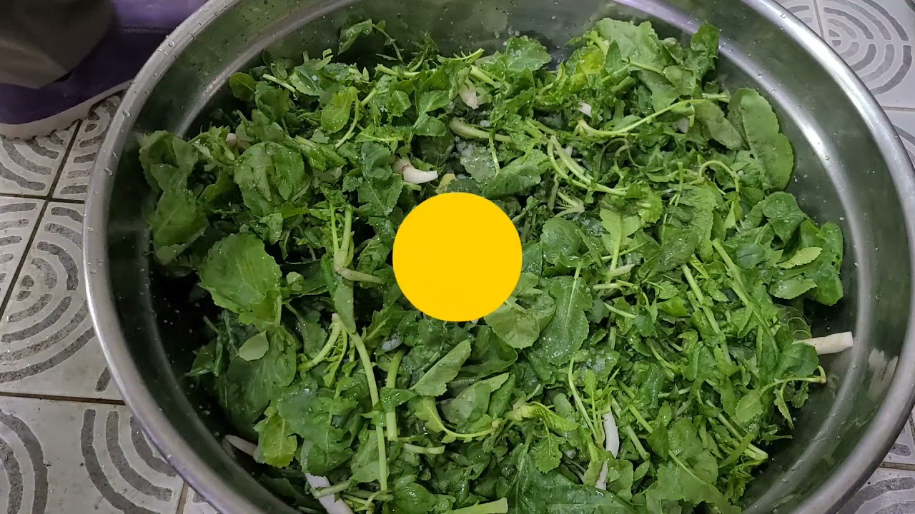 #열무 백김치 만들기#열무김치