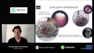 Laureys Steven - The Neurology of Consciousness