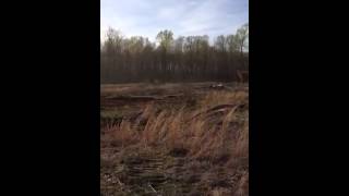 IMG 0915