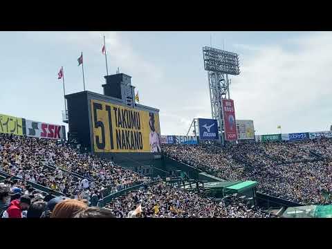 阪神タイガース 中野拓夢 登場曲 ベリーグッドマン/必ず何かの天才